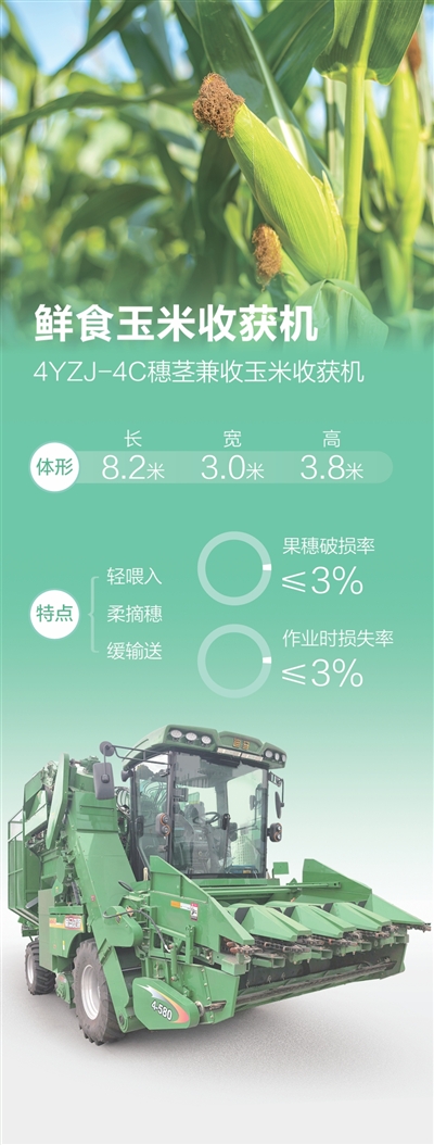 鲜食玉米收获机，果穗破损率稳定在3%以内（身边的创新·想不到的中国农机）