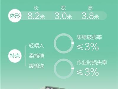 鲜食玉米收获机，果穗破损率稳定在3%以内（身边的创新·想不到的中国农机）