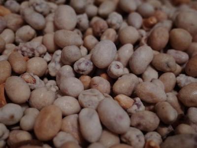 花生被关注！发现：吃得越多，肌少症老年人肌肉流失或越慢？