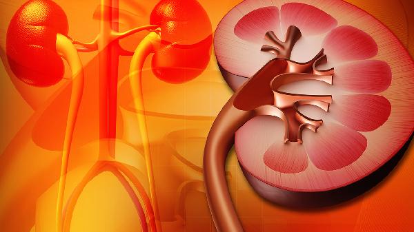 肾功能开始走下坡路？别慌！医生：从这7个维度入手干预，帮你稳住肾小球滤过率