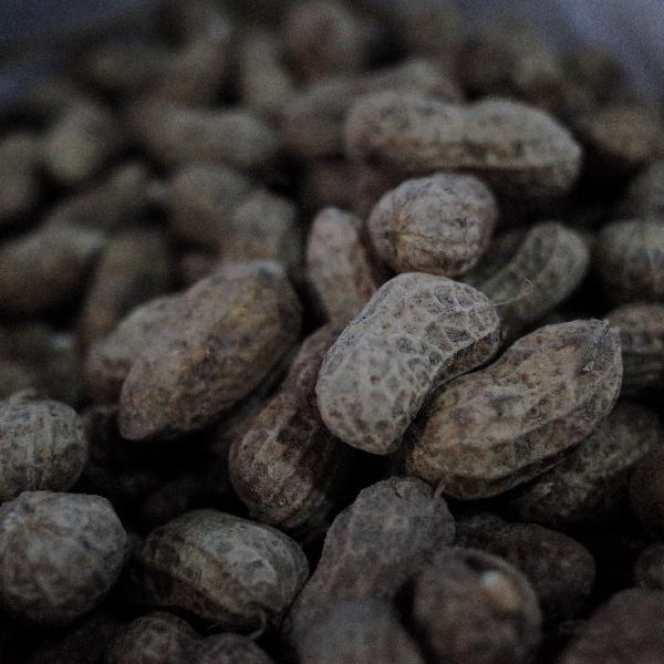 甲减患者注意！医生实测：花生别多吃，这3种坚果反而值得加餐