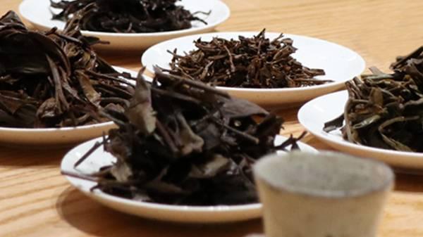 医生告诫：糖尿病人若常喝茶叶水，不用多长时间，或有这6个变化