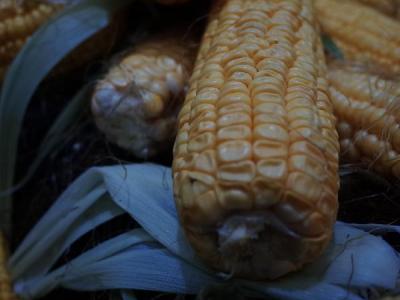 玉米是胆固醇的杀手？医生提醒：胆固醇高的人，这些素菜最好少吃