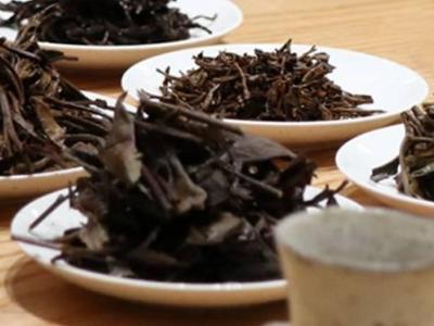 茶叶是血糖杀手？含泪劝告：若想血糖正常，这5种茶别多喝