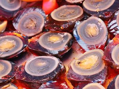 蛋白质摄入过多危害是什么