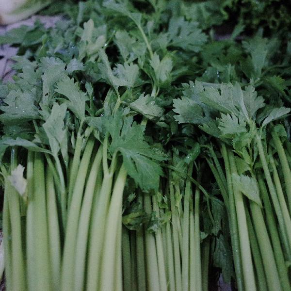 什么时间喝芹菜汁减肥