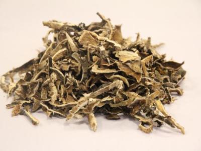 喝中药的时候可以吃海带吗