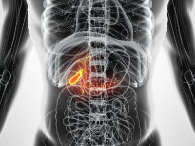 冬天补气血怎么做
