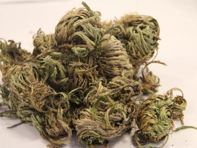 多大的小孩可以吃黄芪
