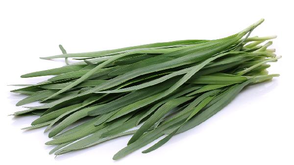 韭菜是肺炎 “刺客”?医生告诫:要想肺部健康,4种食物尽量少吃-易网健康<a href=/jkys/ target=_blank class=infotextkey>养生</a>网 韭菜是肺炎 “刺客”?医生告诫:要想肺部健康,4种食物尽量少吃