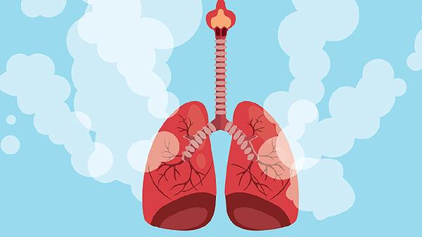 看懂结节报告：实性、低回声、边界不清，分别代表什么？一文讲透