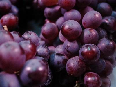 吃葡萄什么好处