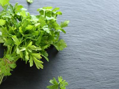 食疗补钙吃什么食物