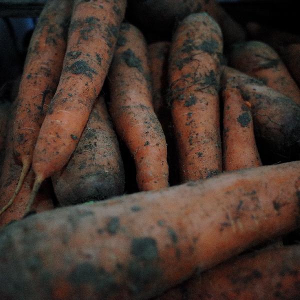 什么菜补钙效果好-易网健康<a href=/jkys/ target=_blank class=infotextkey>养生</a>网 什么菜补钙效果好