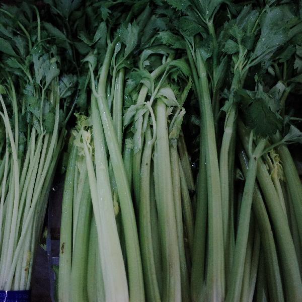 芹菜汁什么时间喝减肥效果好