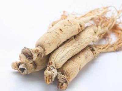 胃不好能吃人参吗