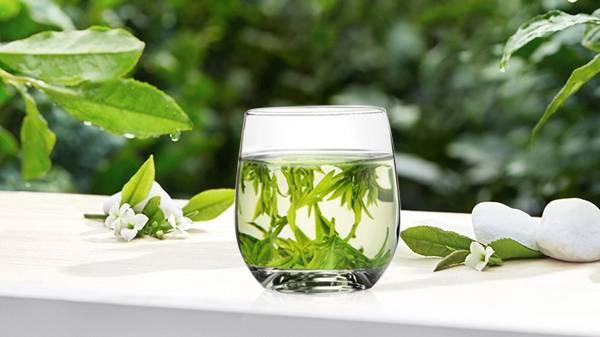 牛蒡根泡茶的功效与作用有哪些