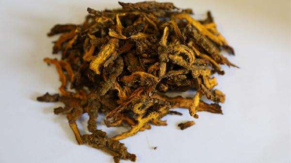 黄连花泡水喝的功效