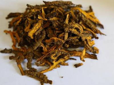 双黄连能和二丁颗粒一起吃吗