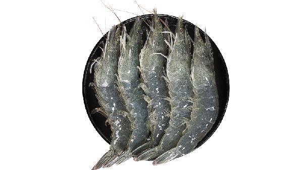吃虾不能吃什么-易网健康<a href=/jkys/ target=_blank class=infotextkey>养生</a>网 吃虾不能吃什么