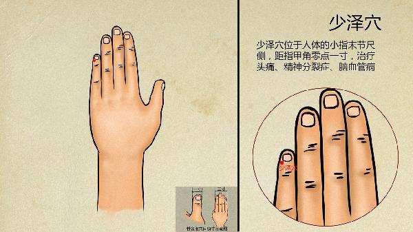 甲流中医怎么调理