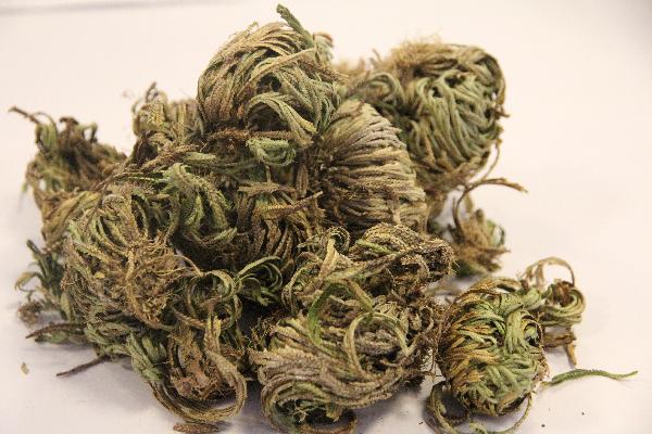 吃中药忌口的食物清单-易网健康养生网 吃中药忌口的食物清单