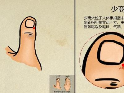 小腿内侧穴位有什么