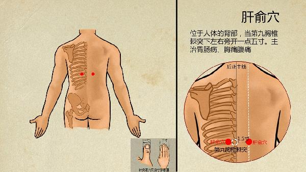 关于中医经络的问题-易网健康<a href=/jkys/ target=_blank class=infotextkey>养生</a>网 关于中医经络的问题
