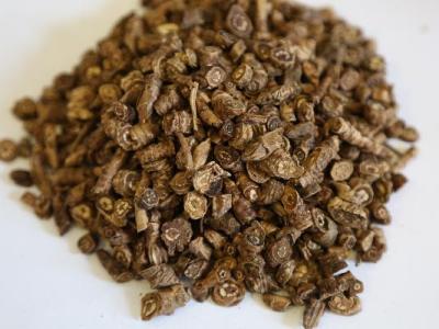 身免疫性肝炎中药治疗药物有哪些