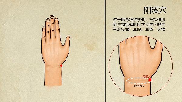 中医调理身体挂什么科-易网健康养生网 中医调理身体挂什么科