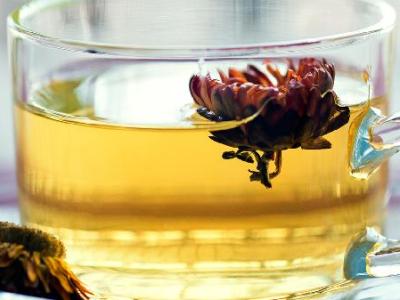 黄柏苍术黄芪能一起泡水喝吗